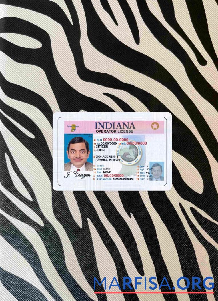 Downloadable USA Indiana DL photolook sample